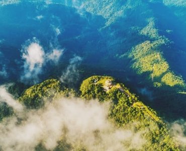 Bach Ma National Park – Centre of flora Diversity in Vietnam