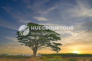 Bao La Village – Ha Canh Village – Ru Cha Forest – Tam Giang Lagoon