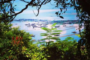 Bach Ma National Park – Tuy Van Pagoda – Tam Giang Lagoon